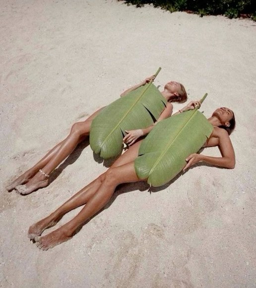 Two friends on warm sand under palm leaves